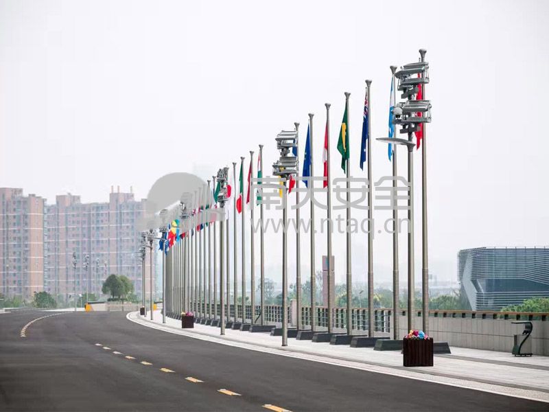 G20案例